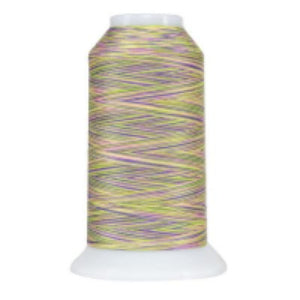 OMV-9067 Victoria Variegated Thread- shipping included!*